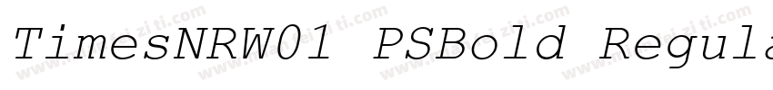 TimesNRW01 PSBold Regular字体转换